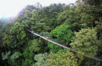 Mistico Arenal Hanging Bridges Park