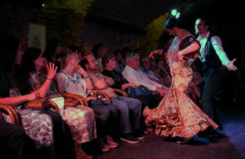 Museo del Baile Flamenco