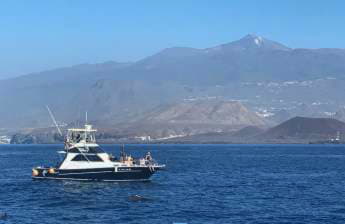 Santa Cruz de Tenerife