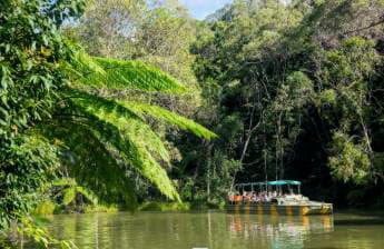 Skyrail Rainforest Cableway