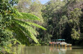 Wildlife Habitat, Port Douglas